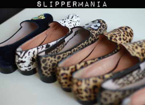 quiero sleepers & loafers, son mi felicidad from now on