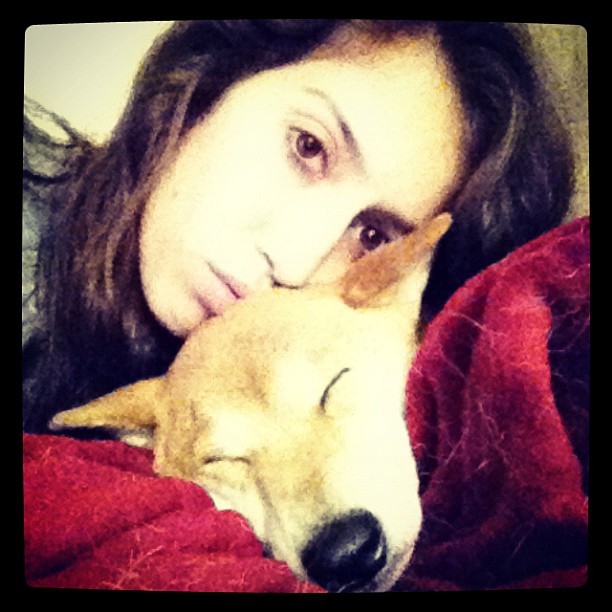 She&rsquo;s exhausted but she&rsquo;s home in her blanket in my arms.  (Taken