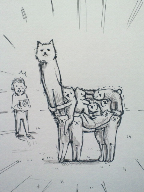 yuria:  アルパカみたいな、猫。 on Twitpic 