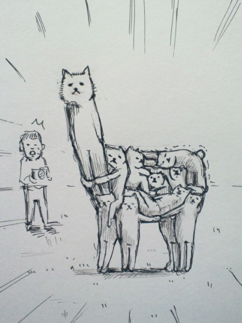 poochin:  アルパカみたいな、猫。 on Twitpic