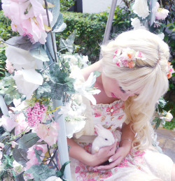 Princess-Ami-Chan:  Lovely—Seasons:  ♥~(ღ˘⌣˘ღ)