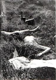  serial-killers-101:  The Murder of Elizabeth Short, AKA The Black Dahlia  