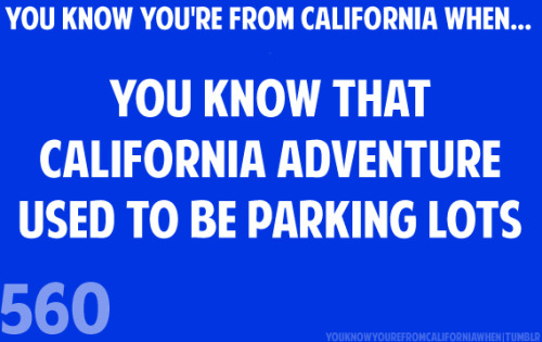 youknowyourefromcaliforniawhen:  http://scarredstars.tumblr.com/  I can never get over this and I babble about it whenever I’m there with people not from California. It was an enormous parking lots with sections named after Disney characters.