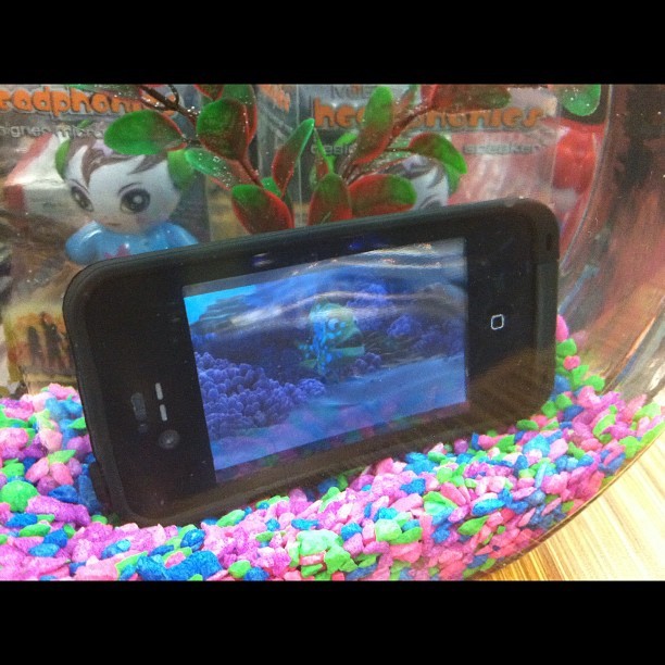 fuckyesnicole:  aarondoster:  Lifeproof case. Watching Finding Nemo in a fish bowl.