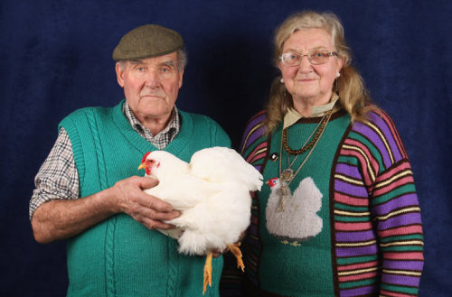 magalomania:  mabelmoments:  Allan and Dinah Procter with their white wyandotte bantam hen which won