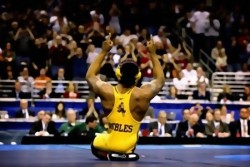 Usa Wrestling