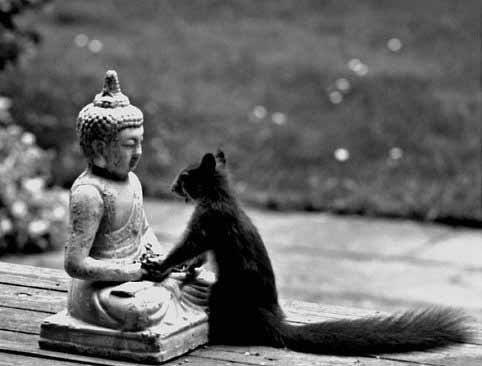 Vie Rancid ॐ