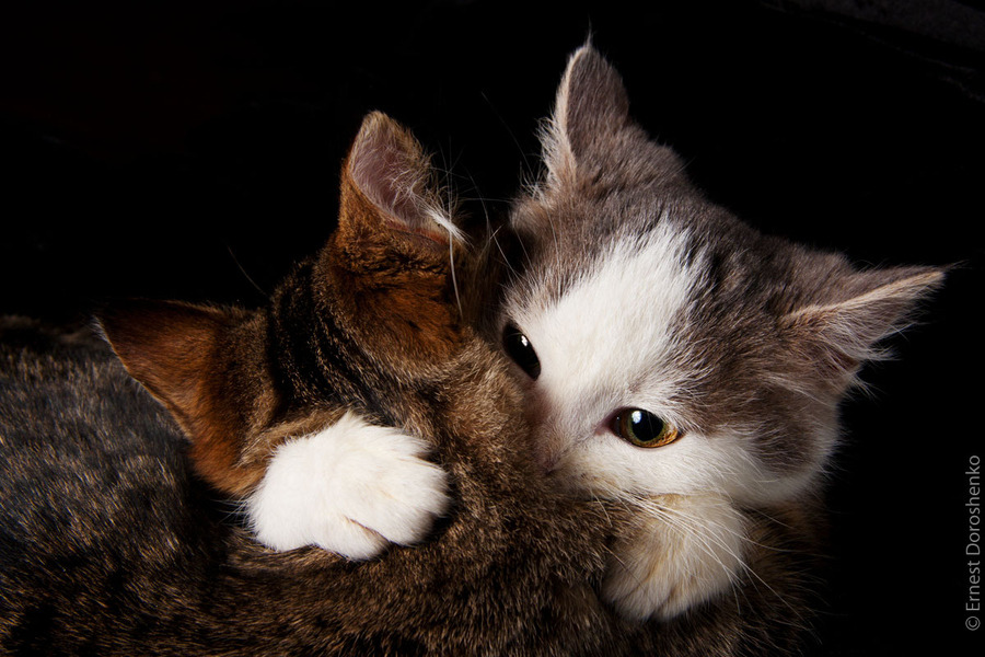 “Happy Birthday, bro!! Oh crap… I left your present at home, sorry.”
Photo by ©Ernest Doroshenko