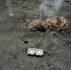 thingsinthesun: Pieter Hugo Permanent Error Prestel Available in our bookstore 