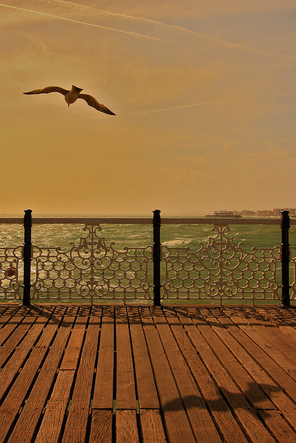 respektlos:  La linea d’ombra / The shadow line (Explore!!!) by AndreaPucci on