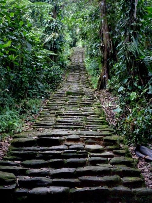 tropicalblxck: aztec-dream: ❀ ✿ jungle blog ✿ ❀  Jungle/tropical blog here!  ❁❁ tropical blog  ❁