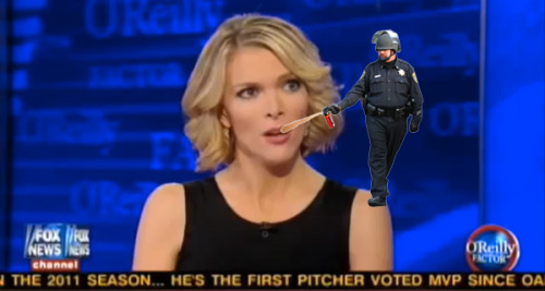 palmate:thedailywhat:Obligatory Petition of the Day: Fox News anchor Megyn Kelly thinks pepper-spray