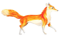 thecoletrain:  I drew this fox for someone