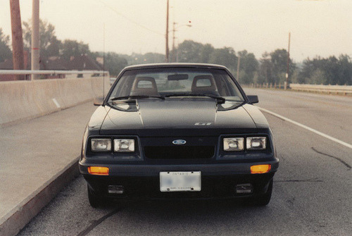 Pure Muscle
