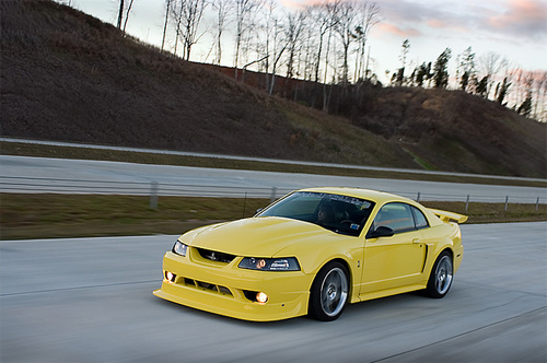 Pure Muscle