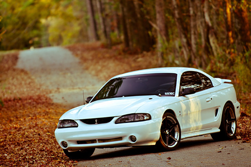 Pure Muscle