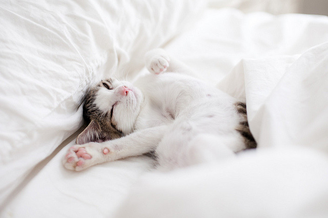 vacill-ation:  untitled by skyvillain on Flickr. 