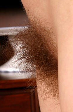 hairymex.tumblr.com post 14054110754