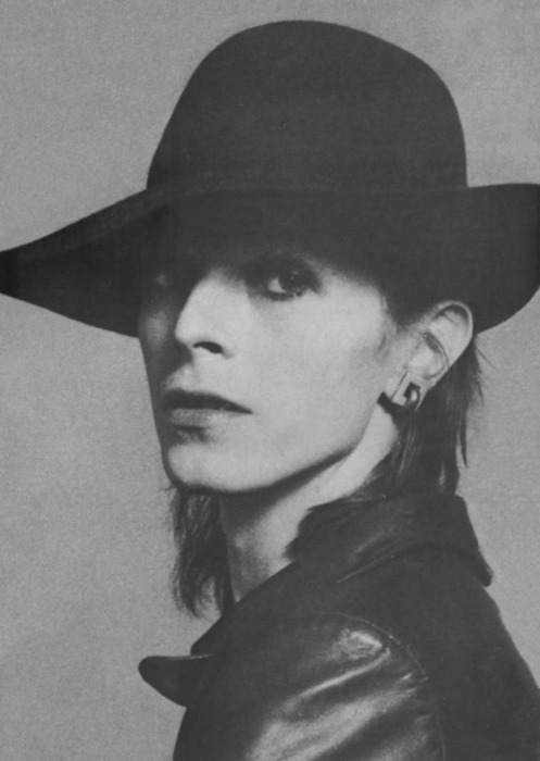 david bowie, why are you so pretty?
