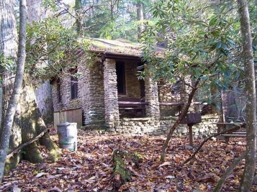 ‘This tiny house  can be rented at Holly River State Park in West Virginia. It was built by th