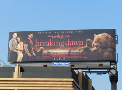 I keep seeing this billboard for that new Twilight movie. The wolves kinda look like bears and everytime I see it (which is a lot because they&rsquo;re everywhere) I&rsquo;m like &ldquo;Oh cool, what&rsquo;s this movie about bears-OHWAIT&rdquo; and then