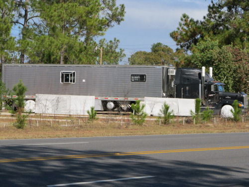 Now THATS some redneck shit. lol(ppl live in it)