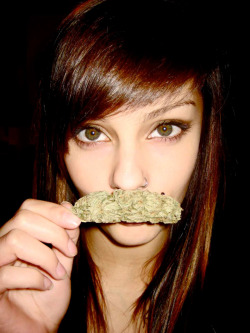 420 stache