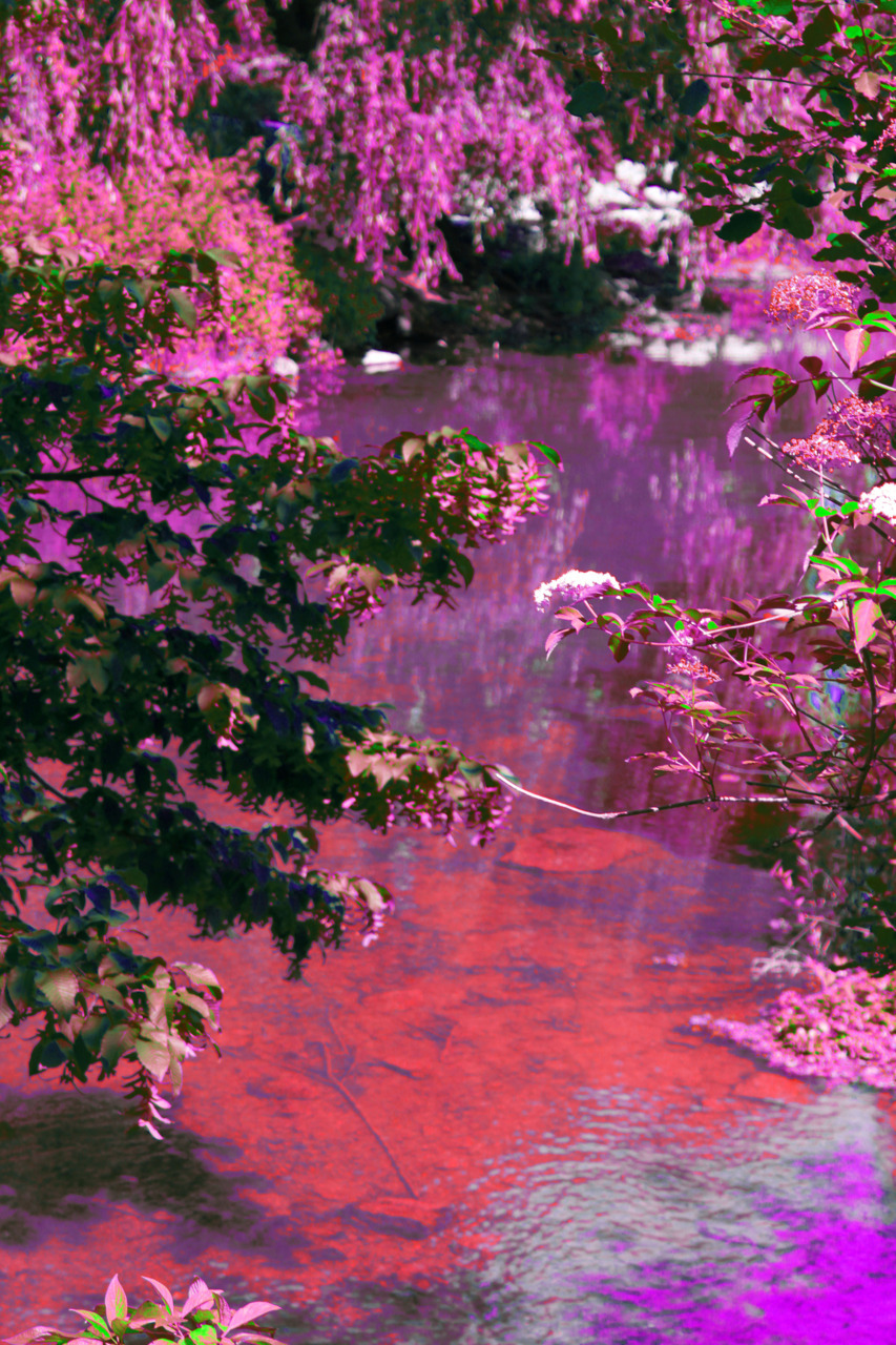 gitsiewood:  dreamy