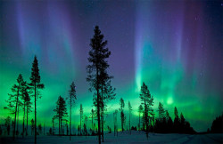 causeimsofuckingscandalous:  i’ll always remember when i saw the northern lights. beautiful sight. 