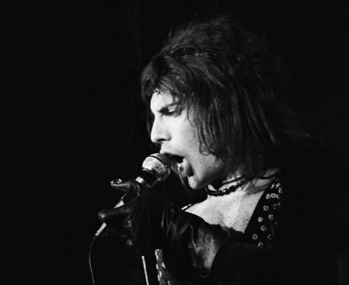 fuckyeahmercury:  Freddie Mercury - Lover Of Life, Singer Of Songs.5th September 1946 - 24th November 1991 From Queen’s official Facebook page. 