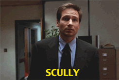 lena-landry-blog:  AN IMPORTANT MESSAGE, BROUGHT TO YOU BY SPECIAL AGENT FOX MULDER.
