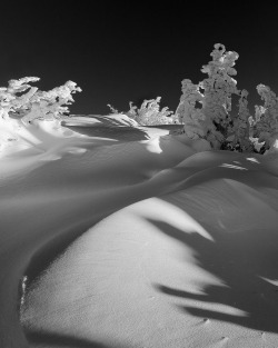 magicalnaturetour:  Shadow Land by Alan Howe :) 