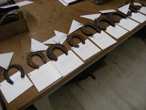 A selection of English horseshoes in the store of the Weald and Downland Museum, dating from the ele