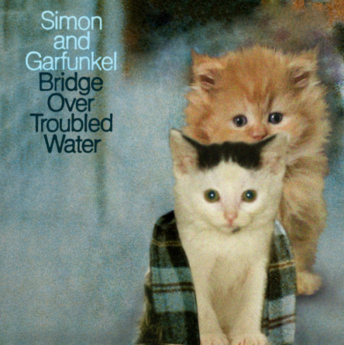 thekittencovers:  Smewmon and Catfunkel - Bridge Over Spoiled Milk 