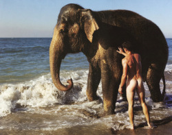 Elephant wash