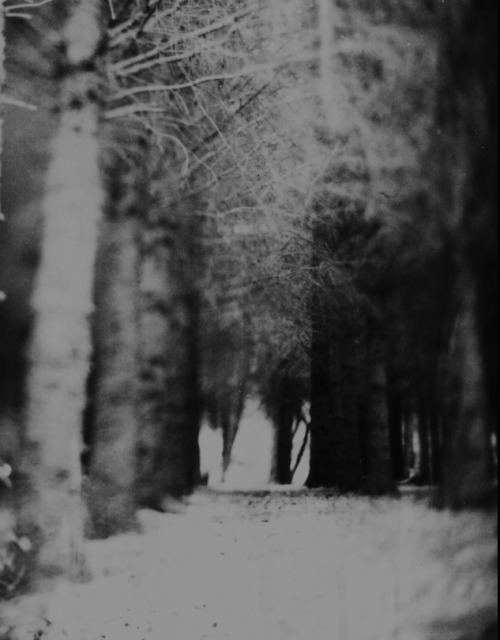 re-ance.tumblr.com/post/54119991624/