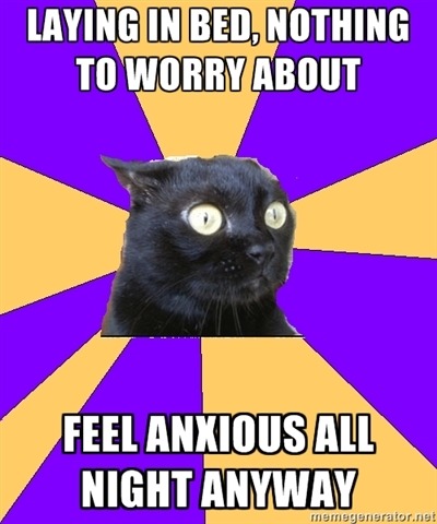 Anxiety Cat