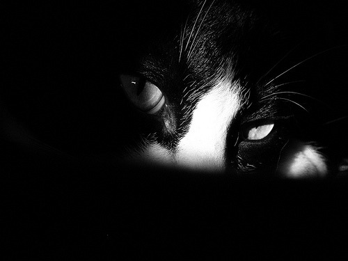 black-and-white:  (by conτιnuum) 