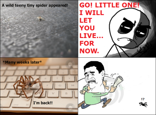 Porn photo meme-spot:  Oh God! Spider http://pleasedontfuckme.tumblr.com