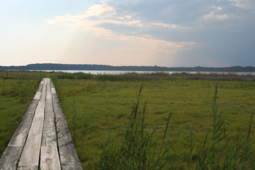 Chesapeake Bay Environmental Center