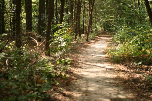 Adkins Arboretum, MD