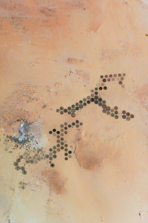 watershedplus: Center-pivot irrigation system in Al Khufrah Oasis in Libya, each circle is about 1km