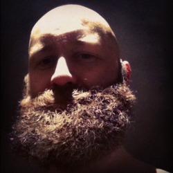 thedailybeard:  reddishbeard:  bushy me ;)