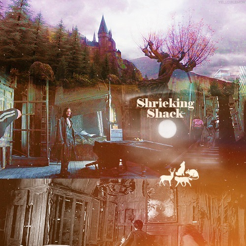 chamberofweasleys-blog:  TOP 7 PLACES I’D LIKE TO VISIT (in the Harry Potter world) ϟ #4 → Shrieking Shack. I’d love to visit this place basicaly for its meaning. For me, the Shrieking Shack it’s the marauders place. I always thought they all