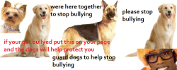 sawmuchded:  bullys no bullysing  DJ LANCE