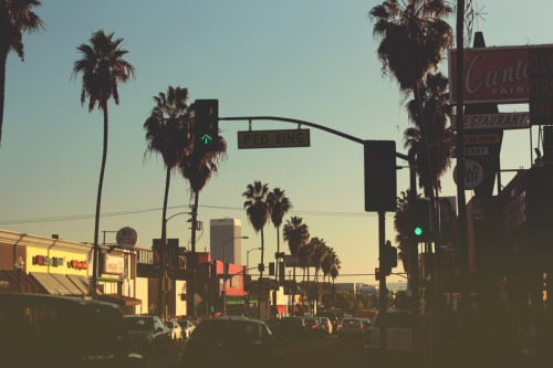 tropical-fruit:  retro-bitch:  ♫  (via imgTumble)