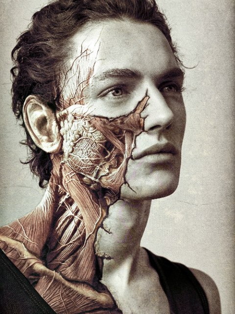 Morbid Beauty