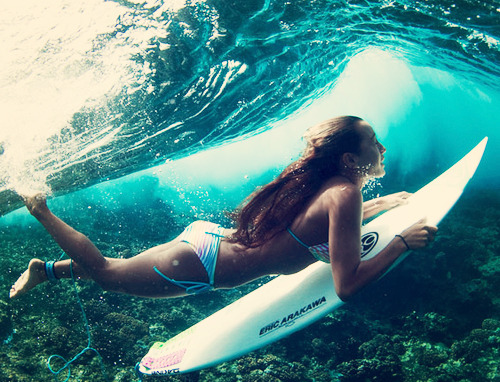 Wild Things