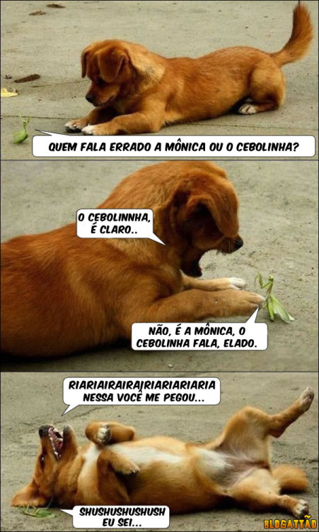 nescaunocabelo:  KKKKKKKKKKKKKKKKKKKKKKKKKKKKKKKKKKKKK