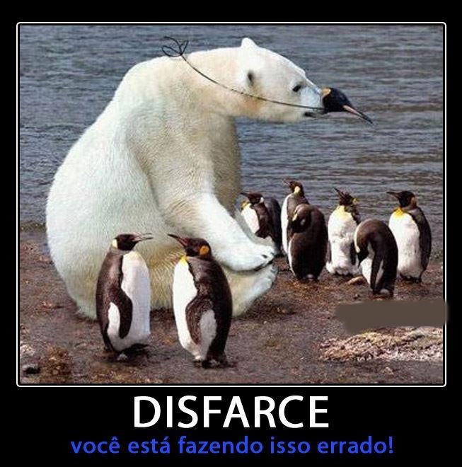 cogumelosdelirantes:  kkkkkkkkkkkkkkk